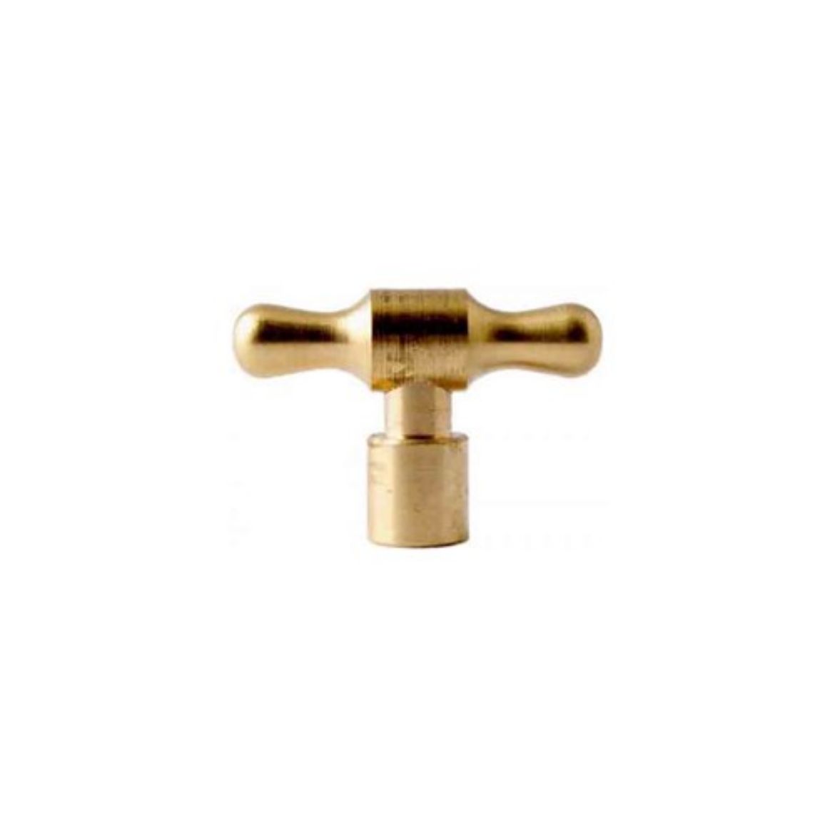 Picture of VANDAL PROOF KEY T/S BRASS GARDEN TAP
