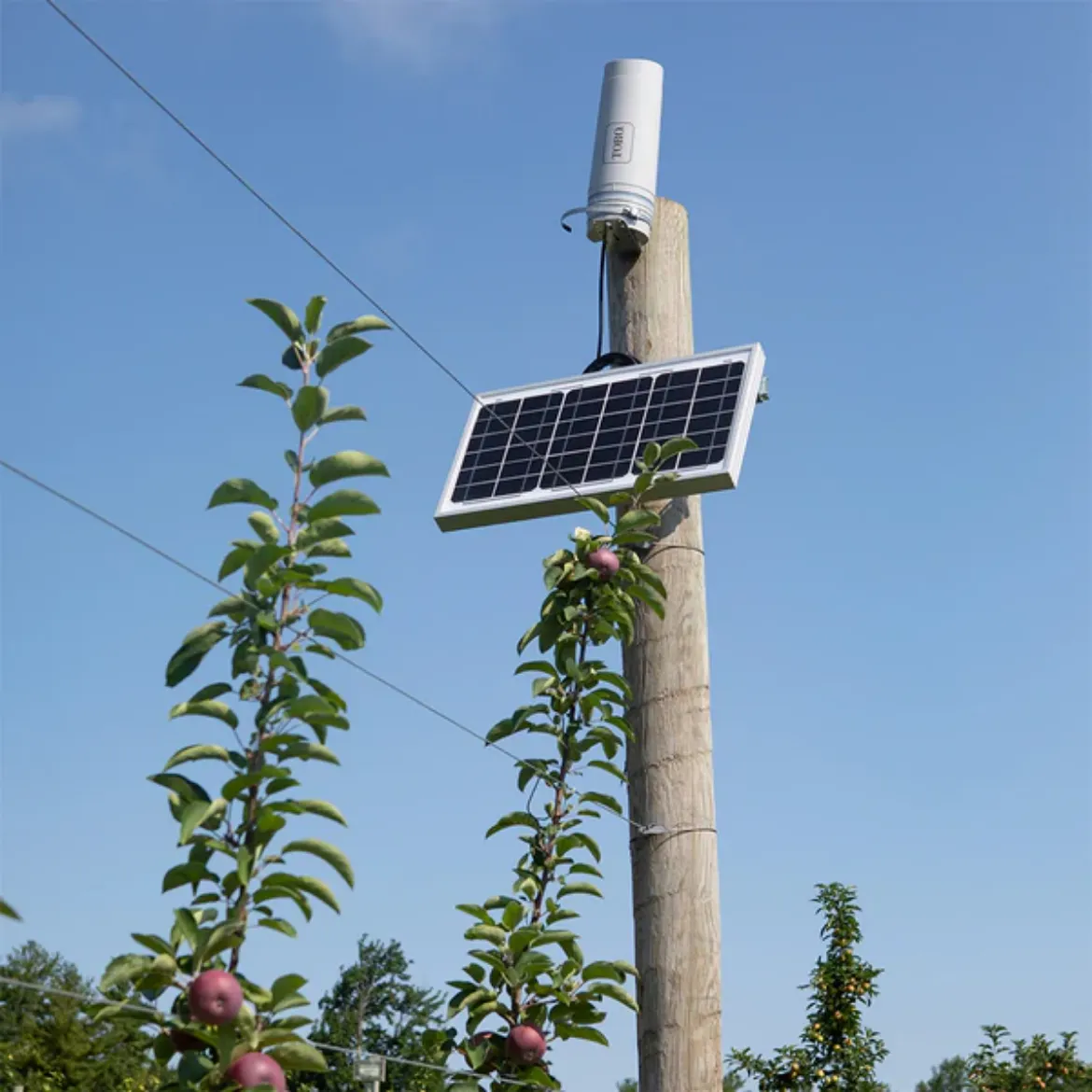 Picture of SOLAR PANEL HIGH WIND REINFORCED T/S TEMPUS-AG